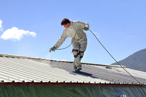 Roof Painting